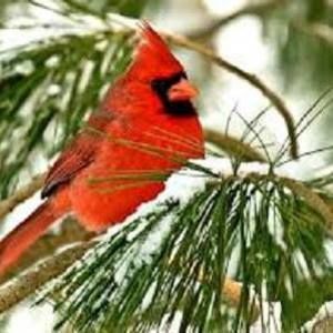 Meet your Posher, Ann